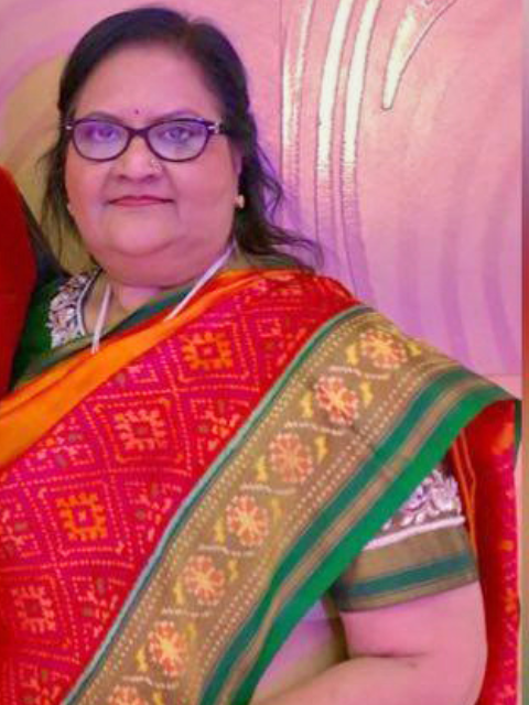 Chakor Patron wearing a colourful Patola saree with a pink background