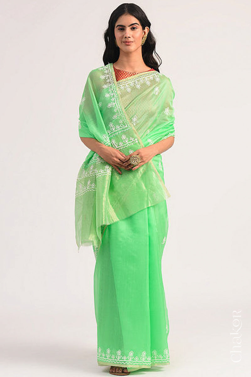 Full-length view of sea green Chanderi silk cotton saree draped to show handloom texture and embroidery.
