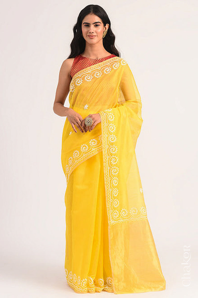 Full-length view of yellow Chanderi silk cotton saree draped to show handloom texture and embroidery.
