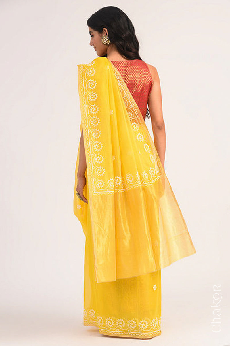 Back view of yellow Chanderi silk cotton saree displaying tissue pallu and embroidery placement.
