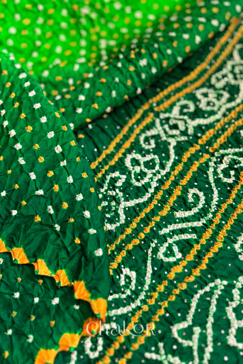 Close up of Handcrafted Parrot and green ombre Bandhani Gaji Silk Saree with traditional bandhej patterns and mukaish embroidery.