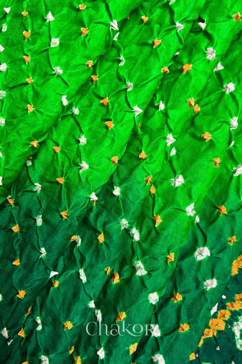 Close up of Handcrafted Parrot and green ombre Bandhani Gaji Silk Saree with traditional bandhej patterns and mukaish embroidery.