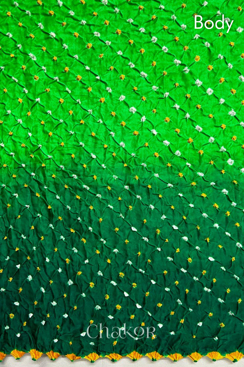Close up of Handcrafted Parrot and green ombre Bandhani Gaji Silk Saree with traditional bandhej patterns and mukaish embroidery.