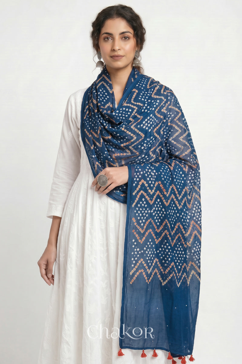 Hand tied Indigo Blue Kutch Bandhani dupatta with mukaish embroidery in pure mercerised mulmul cotton worn by model.
