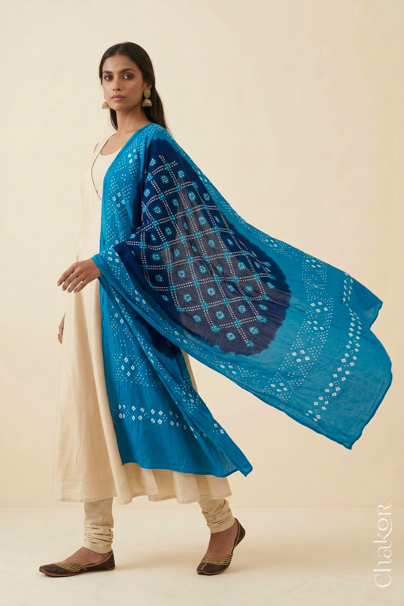 Navy Turquoise Bandhani Mul Cotton Dupatta | Kutch Tie-Dye