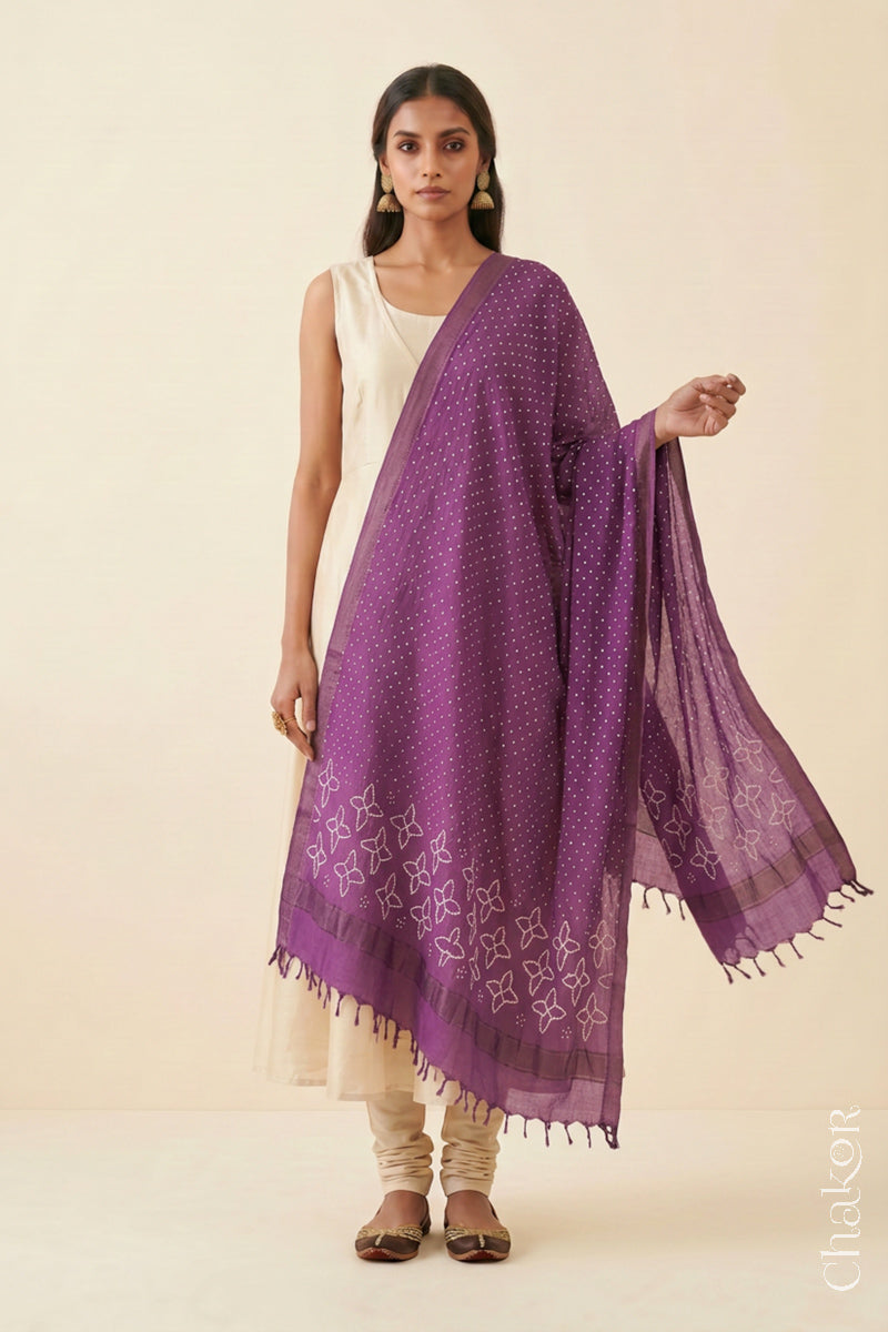 Mauve Bandhani Mangalgiri cotton dupatta worn by a woman, showing the zari border and pallu.

