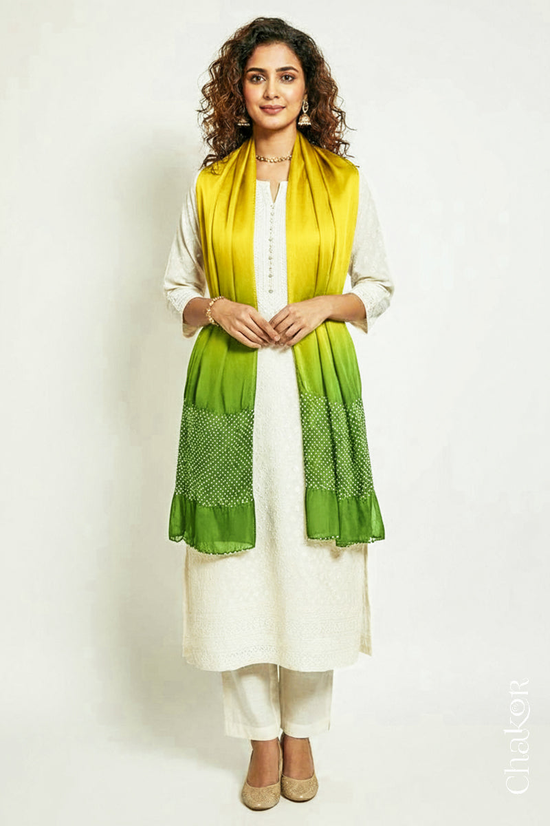 Woman wearing a Yellow & green shaded bandhani stole on white kurta set.
