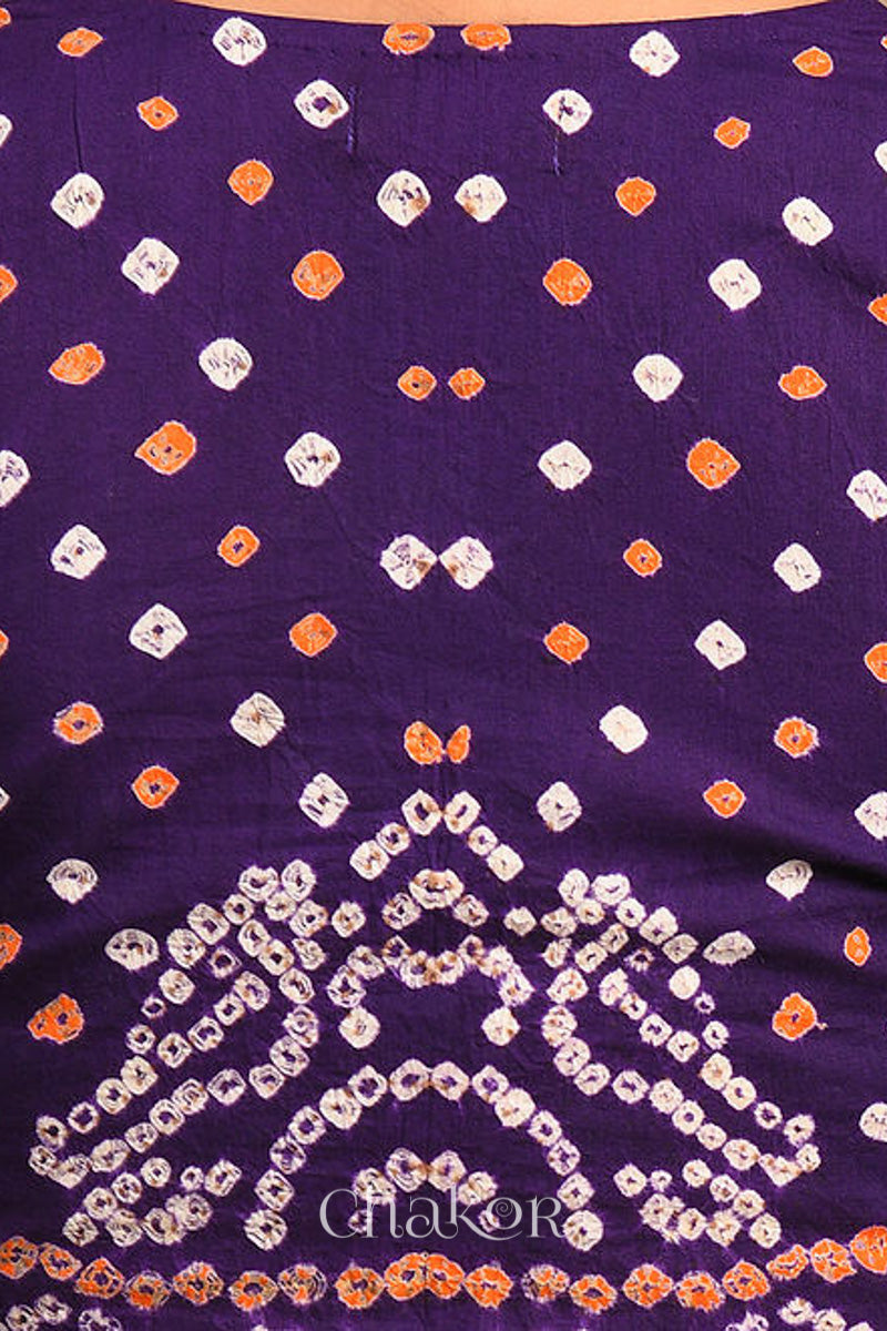 Woman wearing a handcrafted purple bandhani cotton blouse with intricate parrot motifs and boria buttons on front.